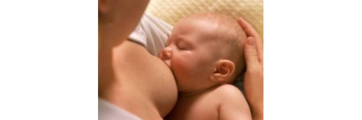 Embarazo y lactancia