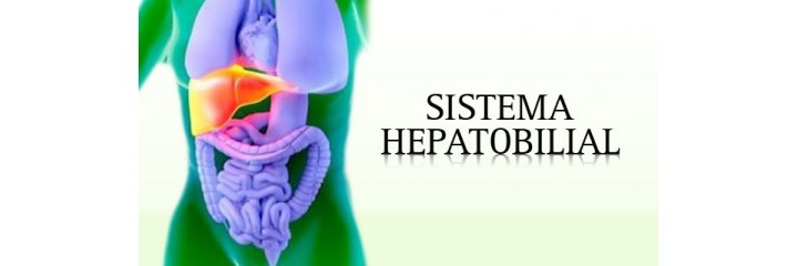 Sistema hepático-biliar